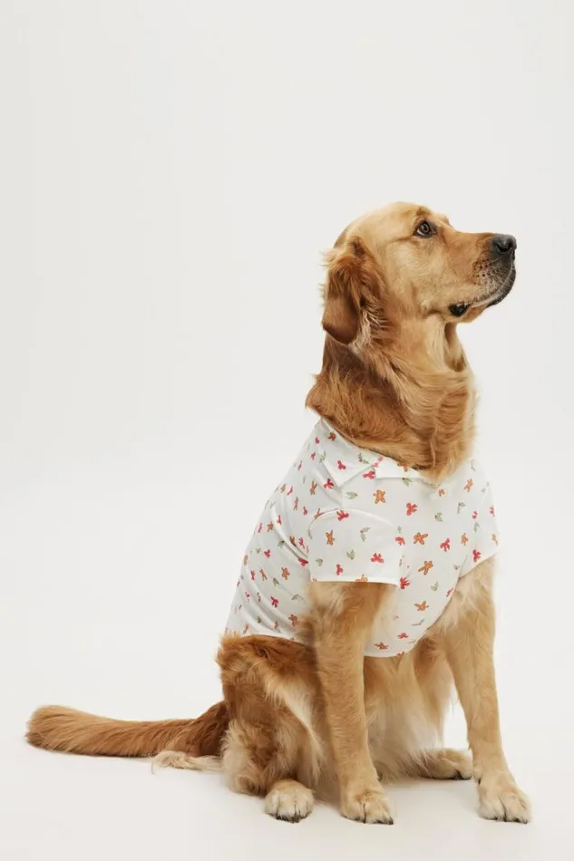 Cotton On AccessoriesandSlippers Novelty Dog Shirt Gingerbread 8211 Women