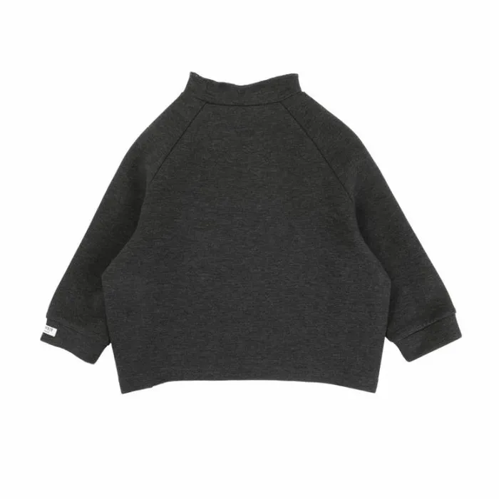 Donsje Amsterdam Sweaters and Cardigans Boys Issi Sweater Dark Grey Melange