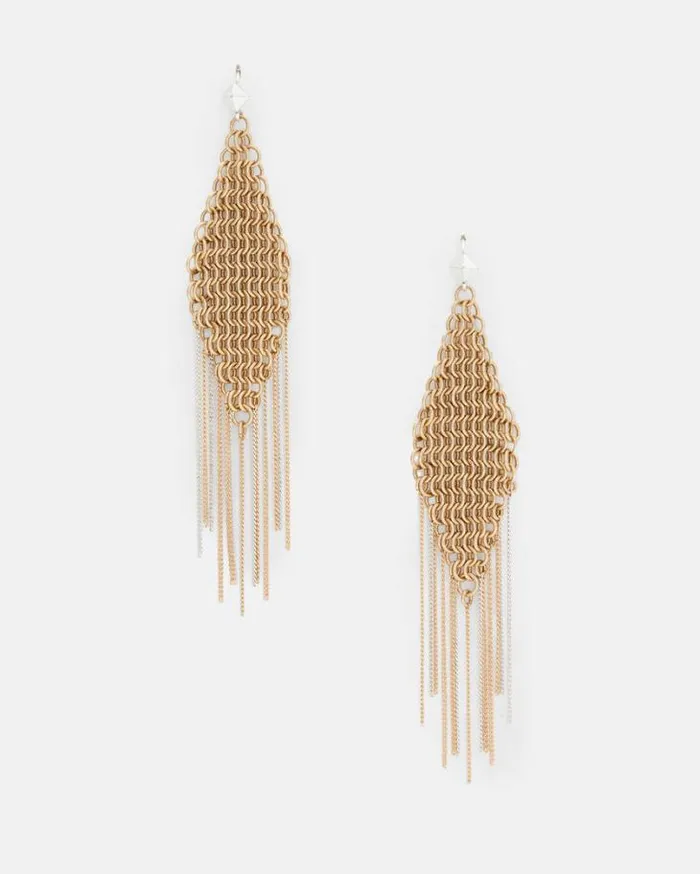 Lucila Fringed Chain Earrings Wrm Braswrm Slver Women AllSaints Jewelry