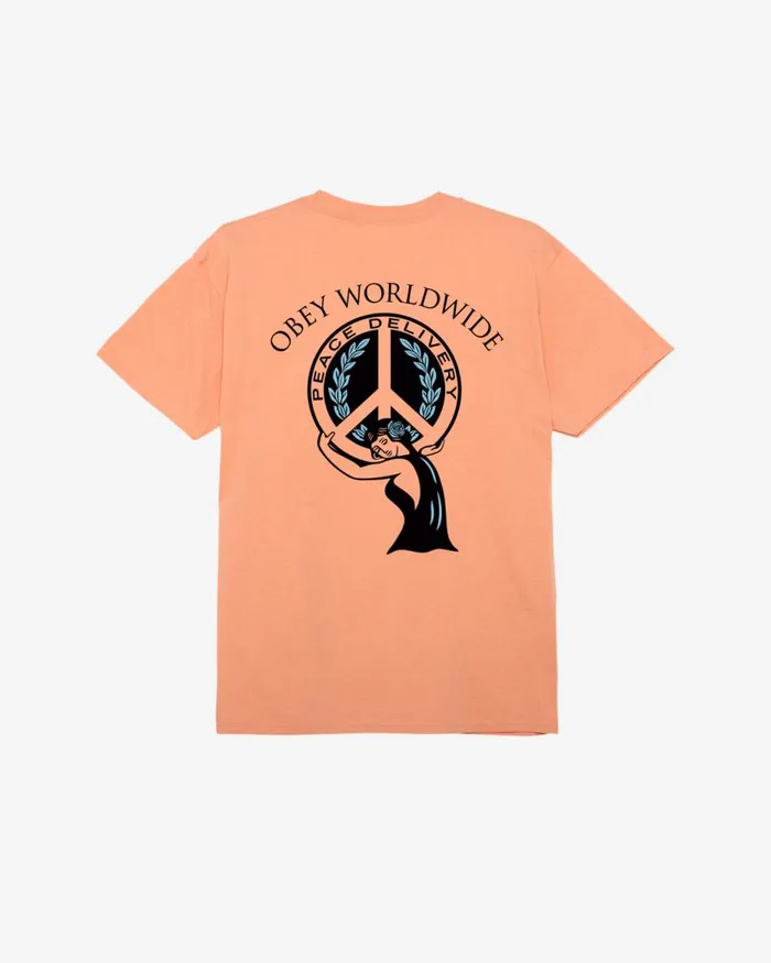 Men PEACE DELIVERY CLASSIC TSHIRT Cucumber OBEY Clothing TSHIRTS