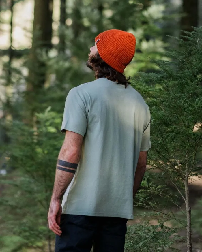 Men Tops Passenger Reconnect Recycled Cotton TShirt Pistachio Pistachio