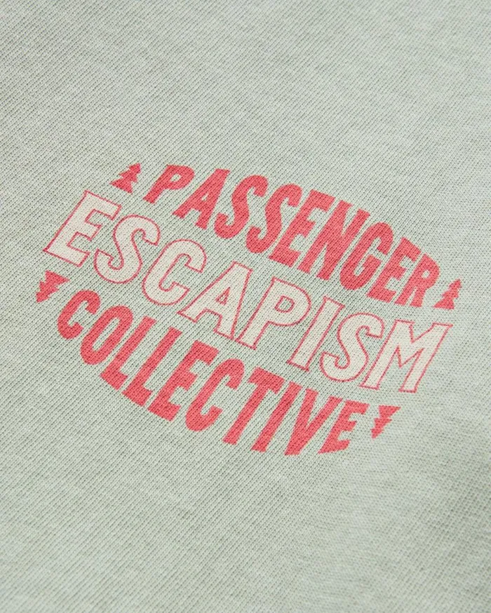 Men Tops Passenger Reconnect Recycled Cotton TShirt Pistachio Pistachio