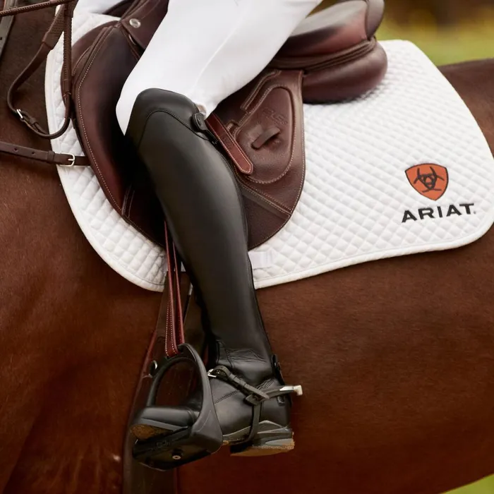 Nitro Max Tall Riding Boot Black Men Ariat English Riding Boots Nitro Max Tall Riding Boot Black Men Ariat English Riding Boots