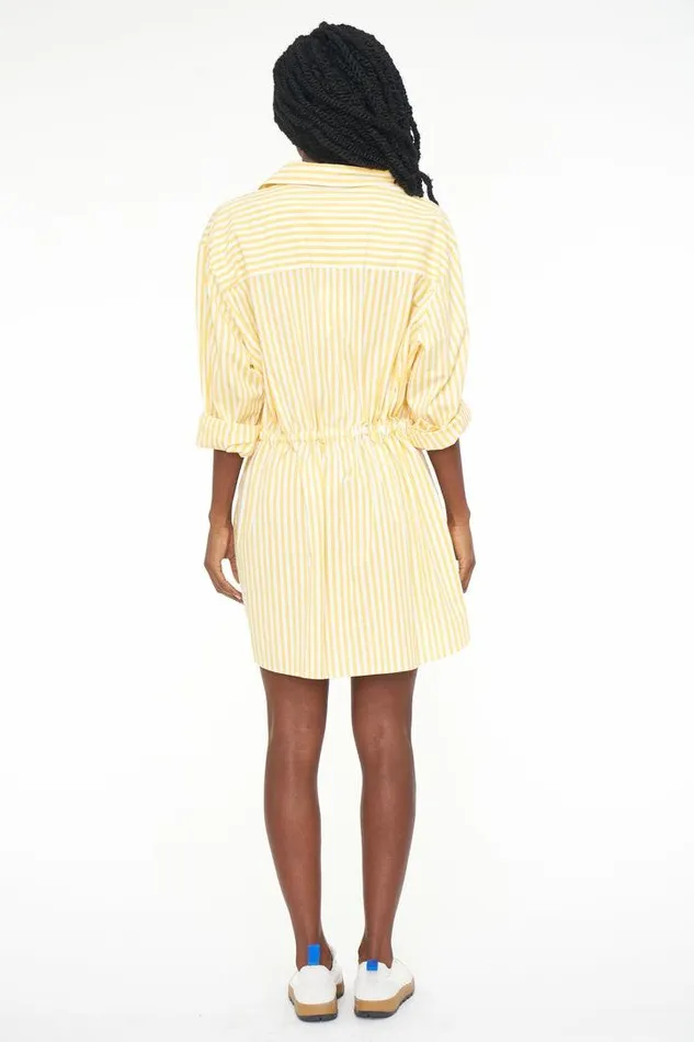 Pistola Denim Dresses Women Layla Cinched Waist Dress 8211 Apricot Stripe Apricot Stripe