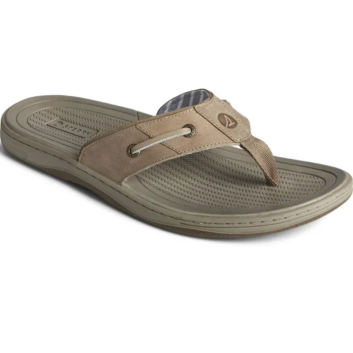 Sandals Men Sperry Baitfish Leather Flip Flop Taupe Sandals Men Sperry Baitfish Leather Flip Flop Taupe