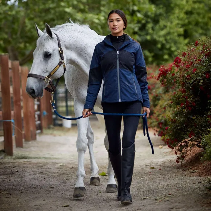 Tri Factor Frost Insulated Full Seat Breech Black Women Ariat Pants and Shorts Tri Factor Frost Insulated Full Seat Breech Black Women Ariat Pants and Shorts