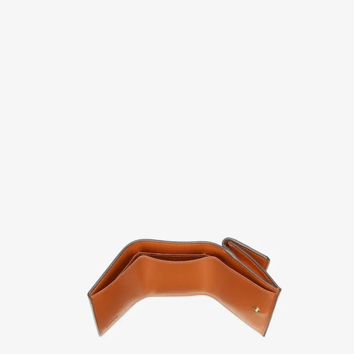 Woman Brown Leather Wallet Brown Fendi Wallets